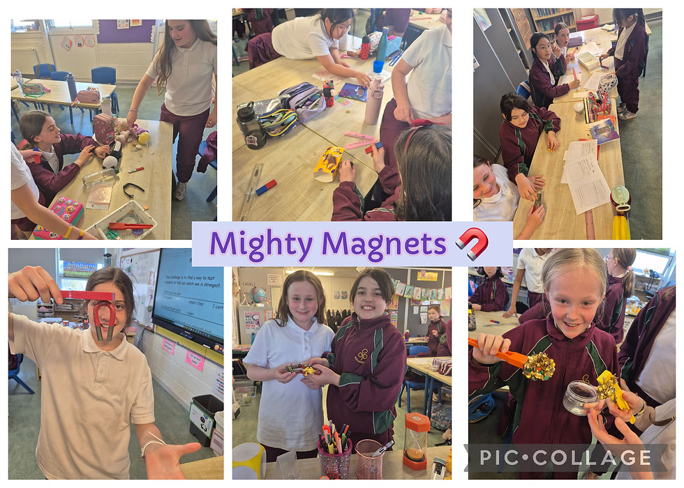 Our 4th class scientists were buzzing with energy this week! The classroom was transformed into a hands-on laboratory where students explored the invisible forces of magnetism.