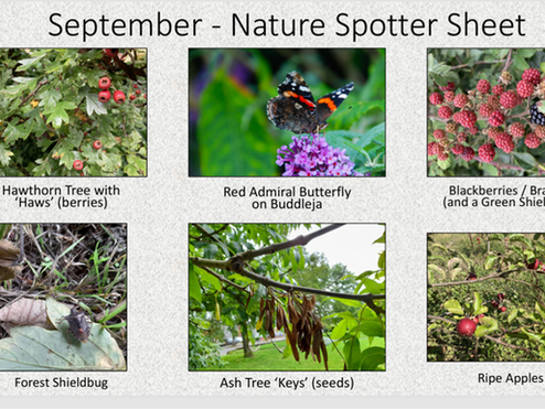     Newsletter 2nd September 2026