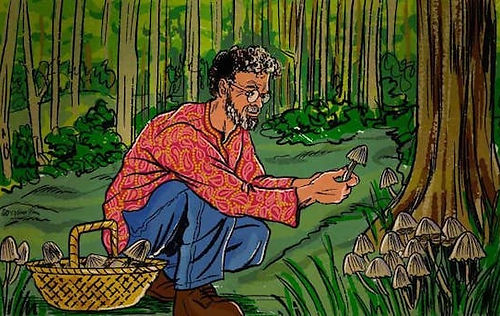 Terence McKenna picking macic mushrooms.jpg