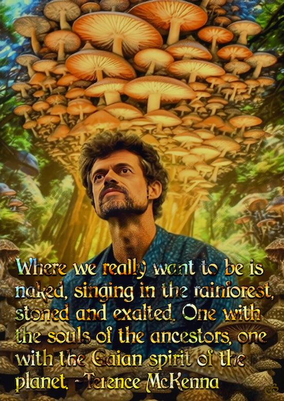 McKenna where we really want to be meme.png