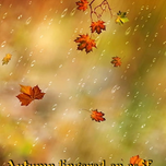 Graham autumn season meme.png