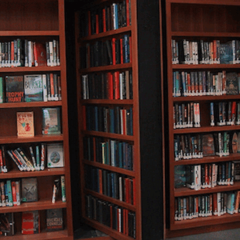 library-door infinite labyrinth.gif