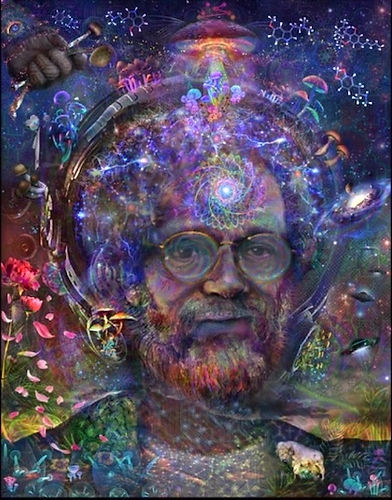Terence McKenna 2.jpg