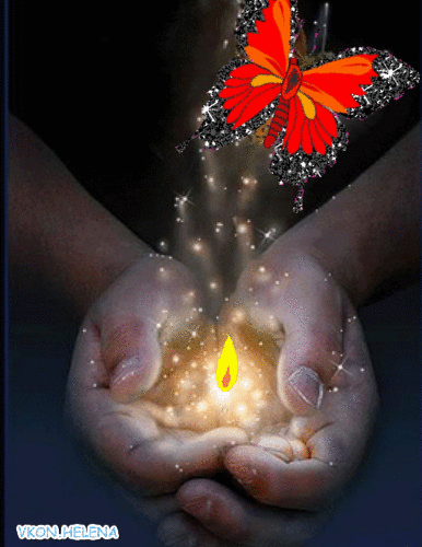 butterfly letting go 2.gif