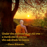 Ahluwalia autumn monk meme.png