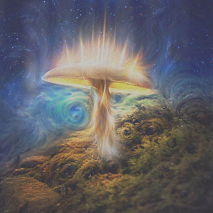 psychedelic mushroom vision 47.jpg