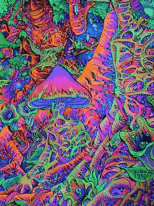 psycadelic mushroom 2.gif