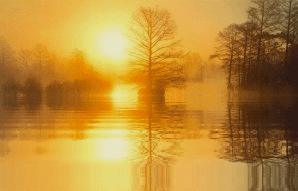 golden waters.gif