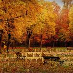 Enright October park meme.png