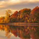 Golden Autumn Day 2.jpg