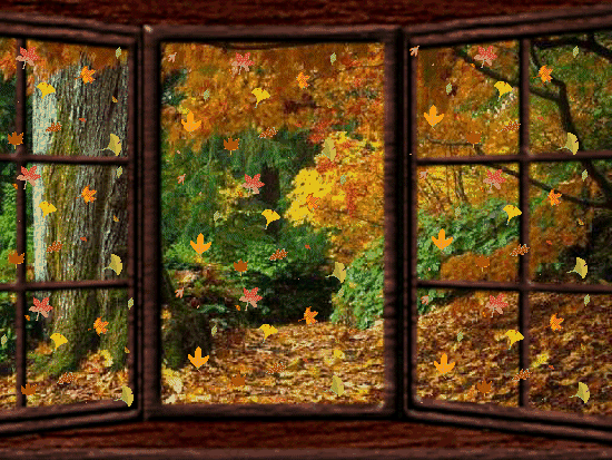 autumn window scene.gif