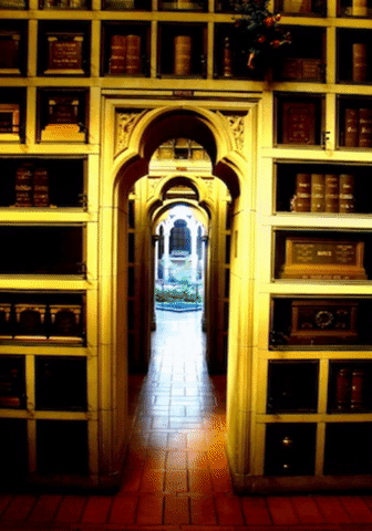 library secret doorway.gif