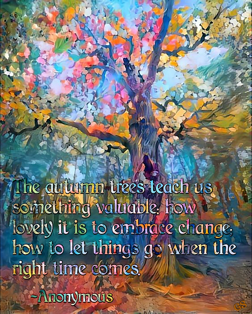 autumn trees teach change and letting go meme.png