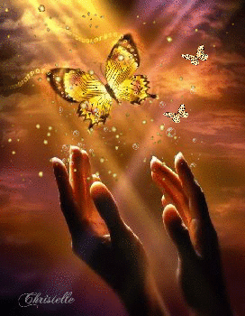 butterfly letting go 1 .gif