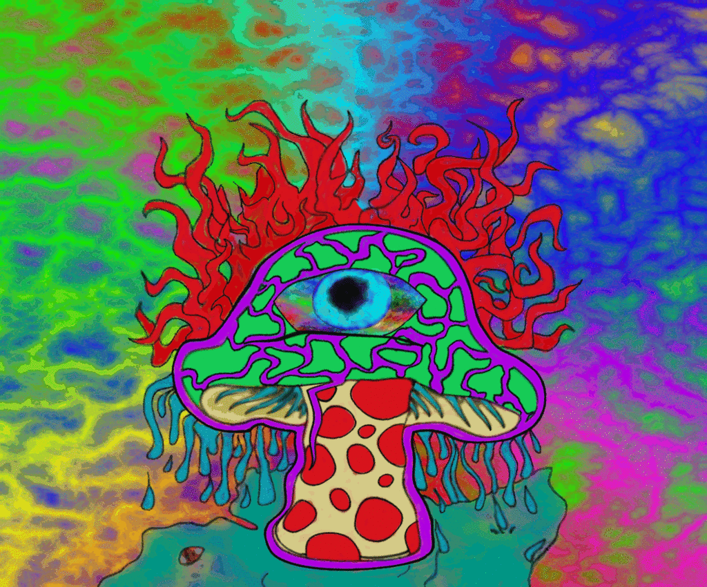 psycadelic mushroom 1.gif