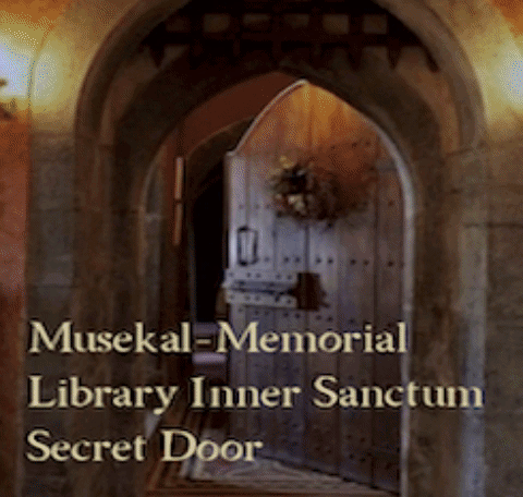 ToS library secret door.gif