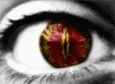 see-what-I-mean eye.gif