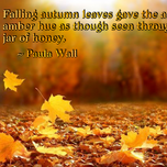 Wall falling autumn leaves amber meme.png