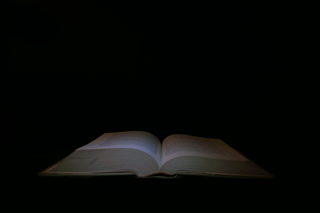 magic book 1.gif
