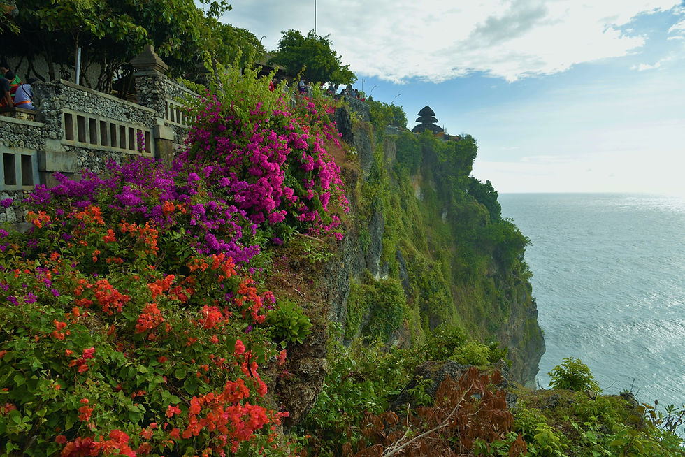 Uluwatu Cliff covered in flowers and Uluwatu Temple in Bali (Brooke Fedora)