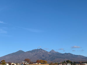 本日営業しております