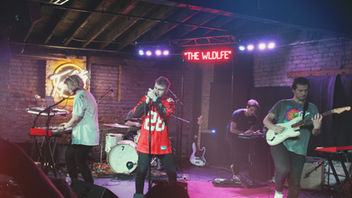 The WLDLFE at Top Cats Photo Recap
