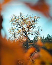Photo by Marcin Kempa on Unsplash