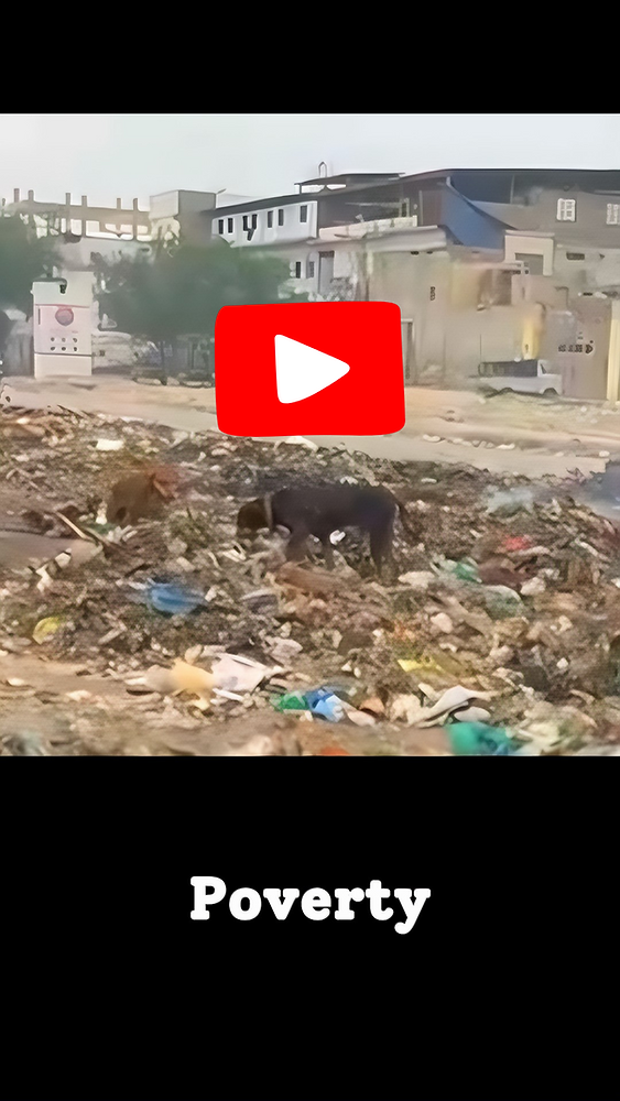 The Bittersweet and Heartbreaking ️‍🩹 Reality of Poverty