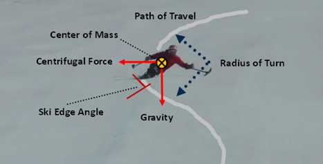 Infographic showing some of the forces involved in carving a turn.