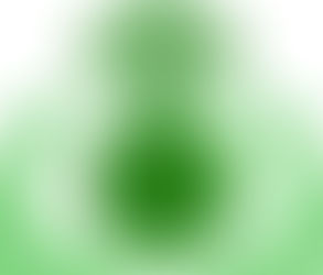 November Spotlight