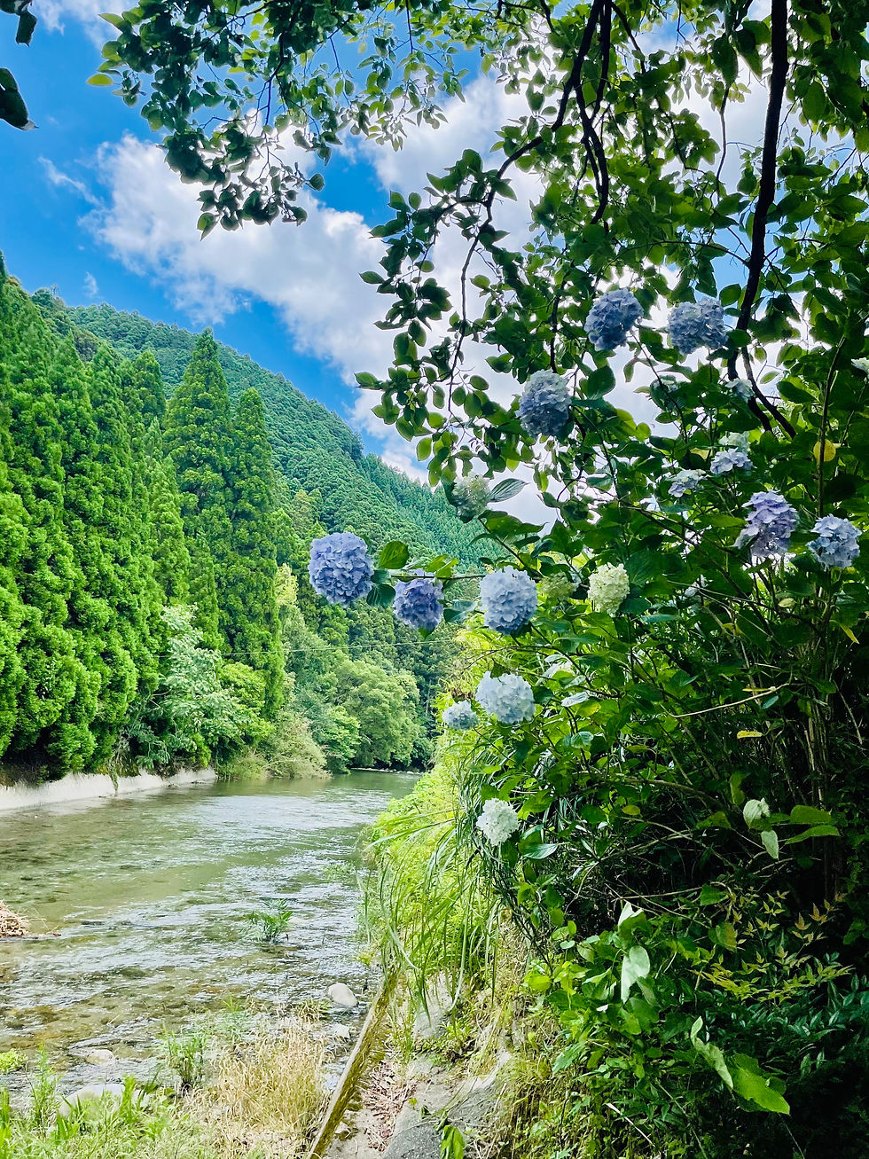 Welcome to Domus Yame in Mikawa!