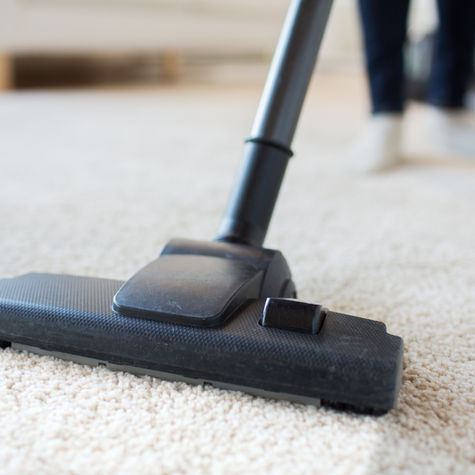 Vacuuming carpet in Indianapolis home to maintain carpets between professional cleanings