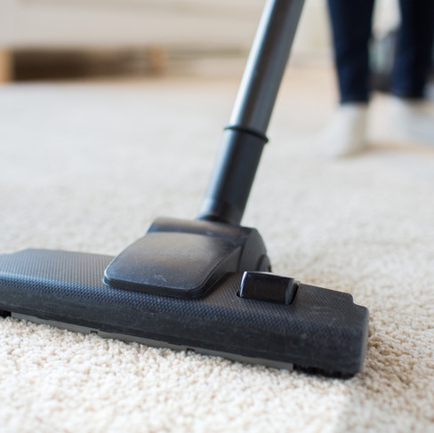 Vacuuming and other cleaning tasks keep inside clean and healthy
