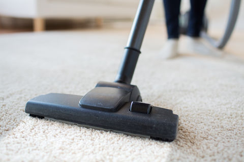 Carpet cleaner leaves carpet spotless.