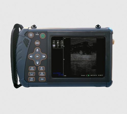 P120-Mini Handheld Ultrasound | Doctor Shark Animal