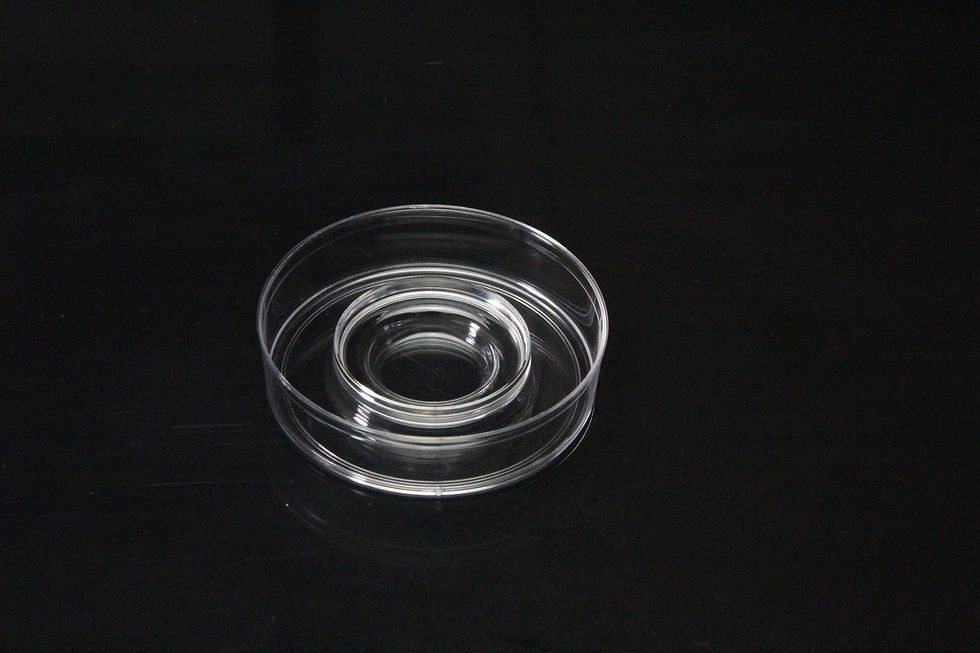 Thumbnail: METIEC IVF Certified Center Well Dish