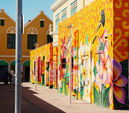 CURAZAO 20-01-2025 082.JPG