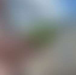 Proyecto “Construyendo habilidades desde el asociativismo y las TICs para el empleo decente en el medio rural.