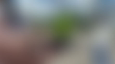 Proyecto “Construyendo habilidades desde el asociativismo y las TICs para el empleo decente en el medio rural.