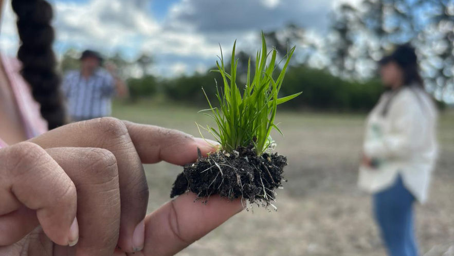 Proyecto “Construyendo habilidades desde el asociativismo y las TICs para el empleo decente en el medio rural.