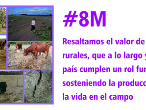 #8M: Día internacional de las Mujeres.