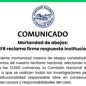 Mortandad de abejas: CNFR reclama firme respuesta institucional.