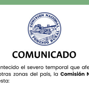 COMUNICADO: por severo temporal que afectó al departamento de Salto y algunas otras zonas del país: