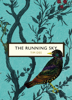 the running sky