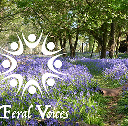 2026 Feral Voices bg-forest3_edited.jpg