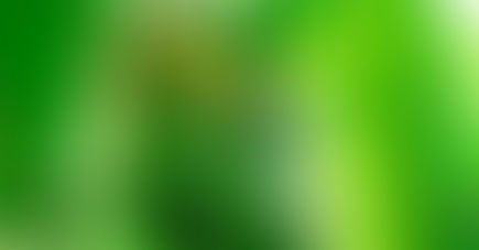 LA COCINA DE LA MADONNINA (1)