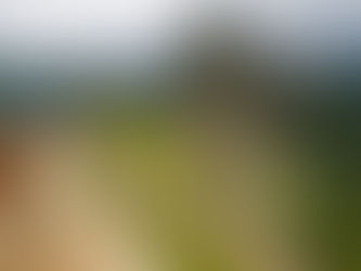 LÍO EN LA ESCUELA. APRENDAMOS DEL PERÚ