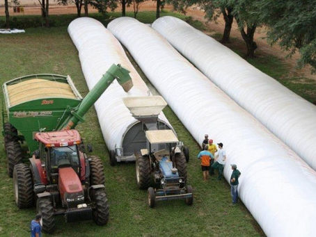LÍO EN LA ESCUELA. SILOBOLSAS DEL SIGLO XXI