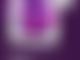 Branding für KMU – direkt ins Alligator Hirn