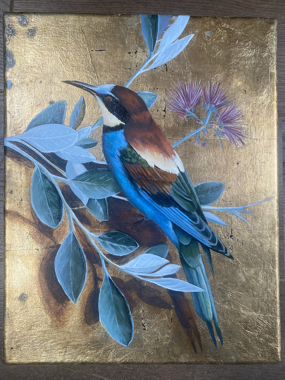 Thumbnail: Bee-Eater